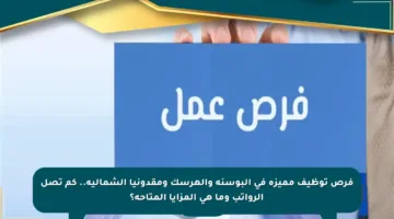 فرص توظيف مميزة في البوسنة والهرسك ومقدونيا الشمالية.. كم تصل الرواتب وما هي المزايا المتاحة؟